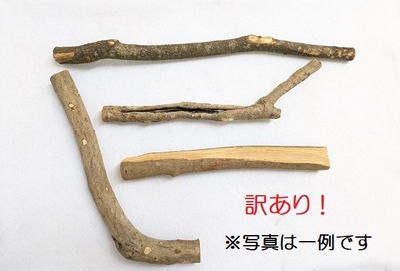 鳥用品 止まり木 カクタス スケルトン パーチ 特大No.216 止まり木